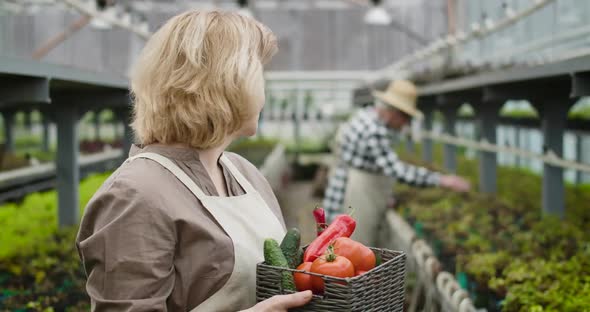 Close-up of Positive Caucasian Senior Woman with Vegetable Basket Looking Back at Male Agronomist