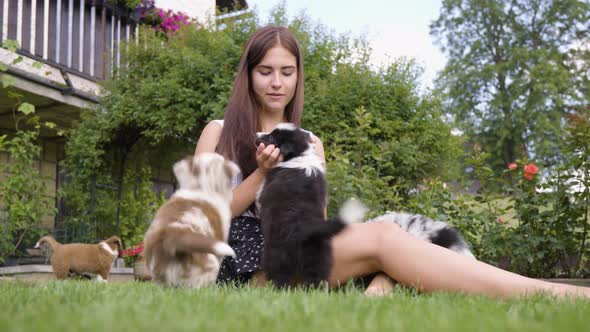 A Young Beautiful Woman Plays with Cute Little Puppies and Picks One Up and Kisses It in a Garden