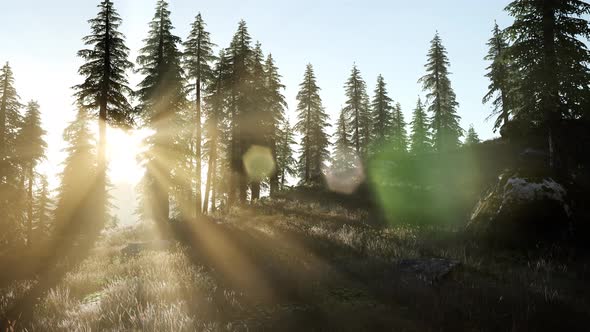 Sunset in the Mountains alt