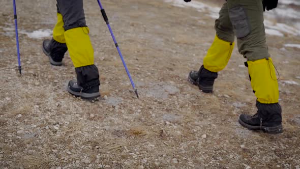 Back View of a Hikers' Legs While They Are Going Uphill, Helping Themselves with a Ski Poles