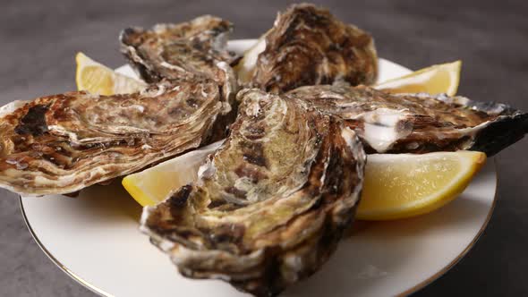 Fresh Oysters 06