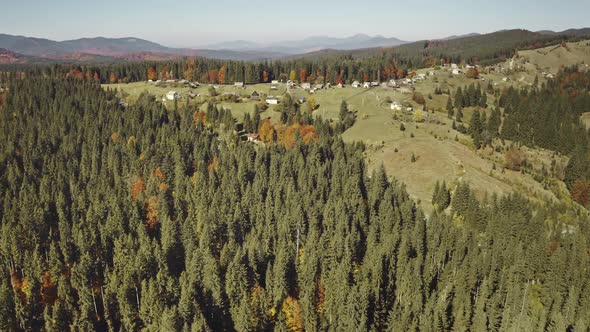 Mountain Village at Pine Forest Aerial