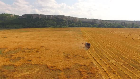 The Combine Travels to the Field and Collects Wheat