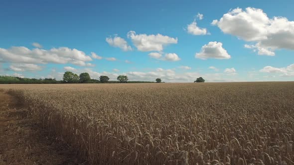 Farmers talking in field