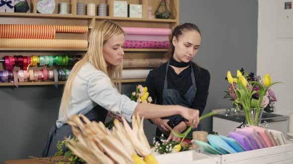 Attractive Blonde Florist in Apron Standing with Her Coworker at Counter in Floral Shop While