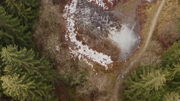 Top down drone shot of a forest with snow on the ground up to frozen lakes and a city in the backgro