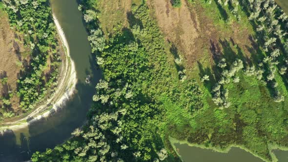 Aerial View of Winding River in Forest