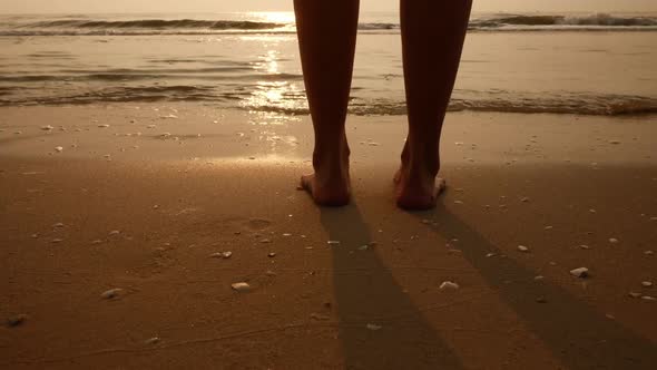 Closeup of woman's feet walking on the beach at sunrise