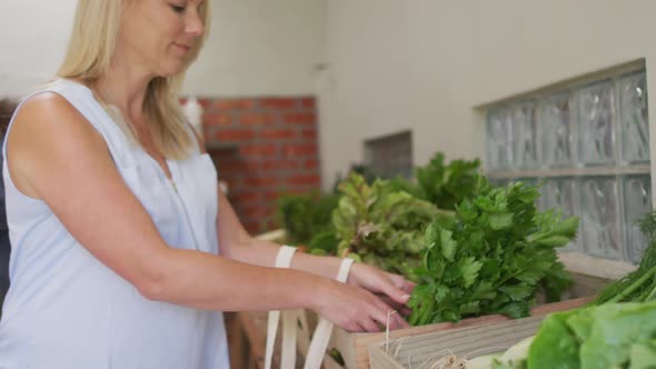 Video of caucasian woman picking up fresh organic celery in grocery shop