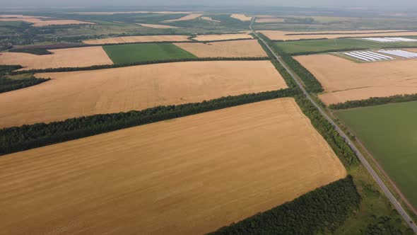 Wheat Fields Aerial View