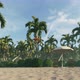 Palms Beach - VideoHive Item for Sale