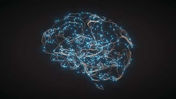 Brain Activity Visualization with Particles and Tracers