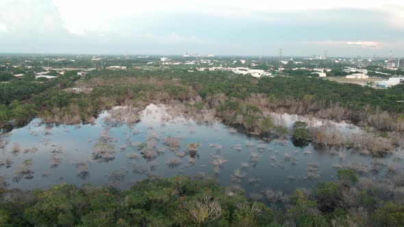 Flying over flooded maya jungle after hurricane Gamma