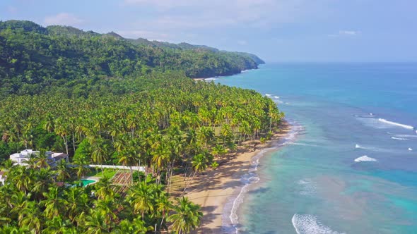 Aerial flyover tropical coastline with golden beach,blue Caribbean Sea, Hotel Resort and Palm Tree P