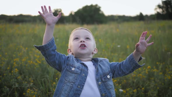 Little Boy in the Sunset Catches Soap Bubbles in Meadow. Relax with Child in Nature. Soap Bubble