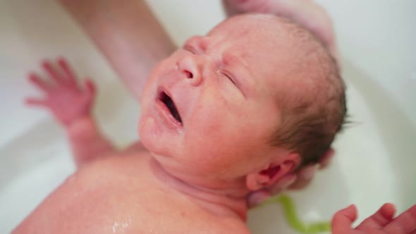 Newborn Baby Six Days Old Bathe In Bath In Water