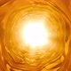 Organic Golden Tunnel - VideoHive Item for Sale
