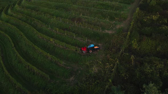 Tractor driving amongs vineyards in the Slovenian countryside.