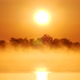 Dawn in The Fog - VideoHive Item for Sale