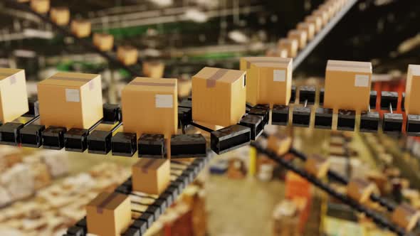 Boxes On Conveyor Belt In Warehouse Loop