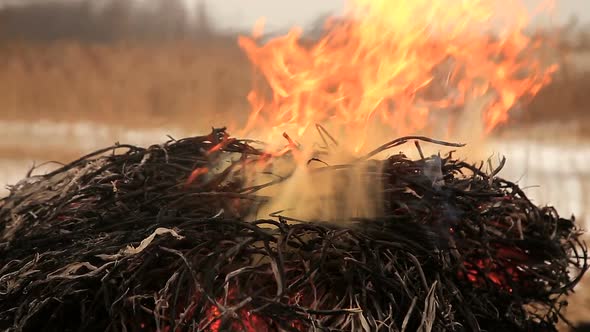 Stack of Dry Grass on Fire