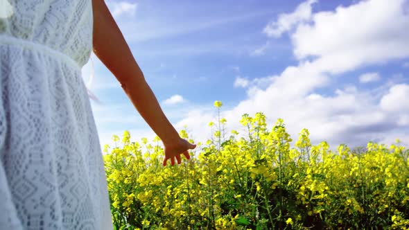 Woman walking in mustard field on a sunny day