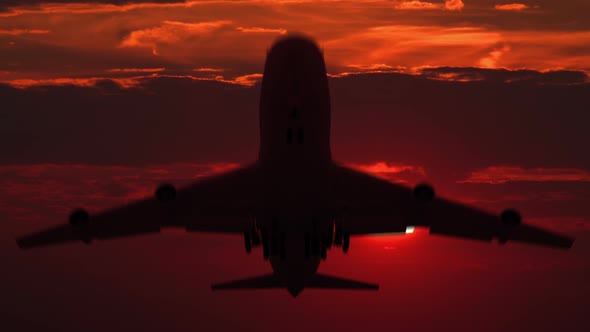 Large Airplane Silhouette Taking off against Red Sunset
