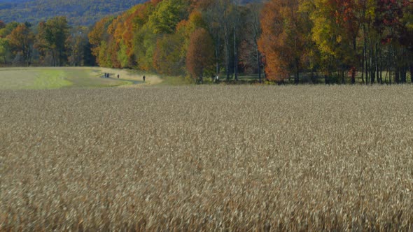 Medium shot of field in Hudson valley