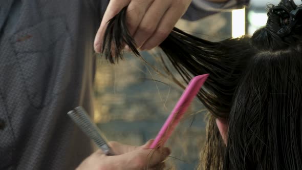 Women's Haircut. Hairdresser, Beauty Salon