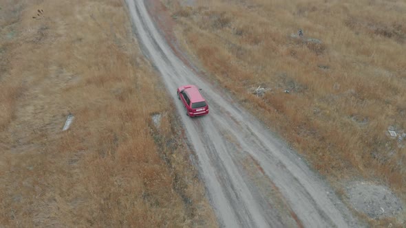 The Car Rides Through Fields with Crops,  Aerial Photography, Video From a Drone