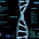dna, hud Medical panel animation - VideoHive Item for Sale