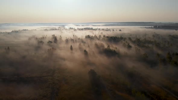 Epic aerial view of sunrise fog covering field with trees.