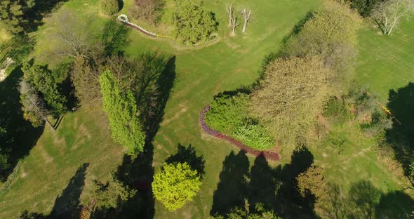 Aerial view of city park, garden. Summer in town, green trees.