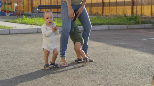 Twin Toddlers Enjoying Outdoor Walk with Mom and Dog alt