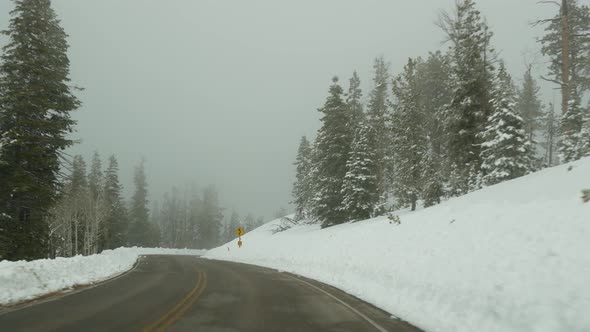 Snow and Fog in Wintry Forest Driving Auto Road Trip in Winter Utah USA