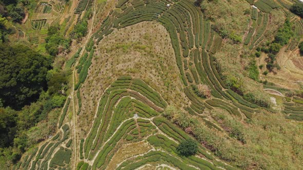 Farming fields in countryside