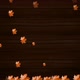 Falling Leafs - VideoHive Item for Sale
