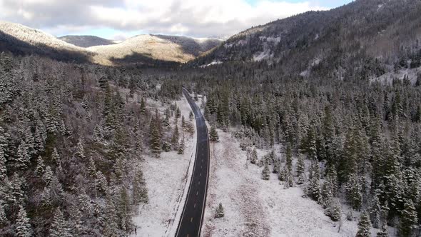Aerial view of snow covered forest flying above road