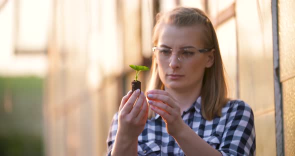 Close Up of Scientist or Researcher Looking at Young Plant and Examining Plant