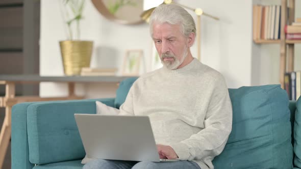 Handsome Old Man Using Laptop on Sofa