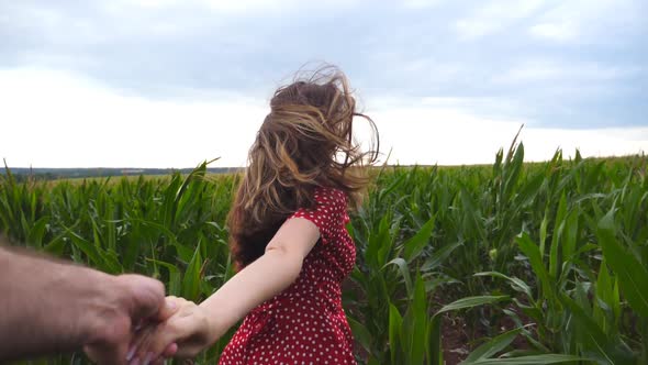 Follow Me Shot of Young Woman in Red Dress Pull Her Boyfriend on Corn Field. Happy Girl Holding Male