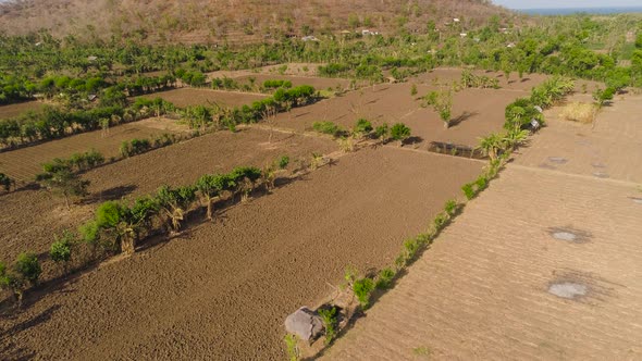 Agricultural Land in Indonesia