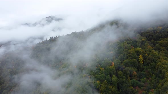 Misty Autumn Mountain Aerial View