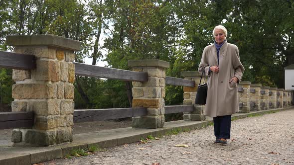 An Elderly Woman Walks Across a Bridge in a Park