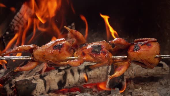Delicious Juicy Quails on the Skewer are Roasting Above the Open Fire