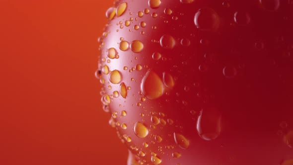 Ripe Tomato in Drops of Water Rotateson Red Studio Background