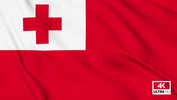 Tonga Flag Waving Slowly Looped