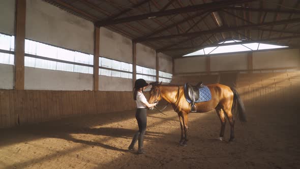 Young Female Rider Takes Care of the Horse, Strokes the Wool and Examines the Sled Horse in a