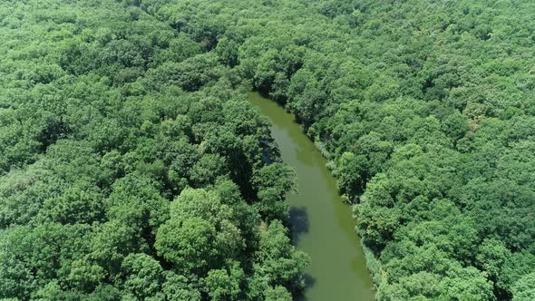 4K Aerial view of river and beautiful wild forest.