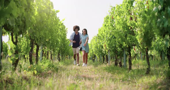 Romantic Love Couple Walking and Playful Running Thru Green Vineyards. Front Follow Wide Shot